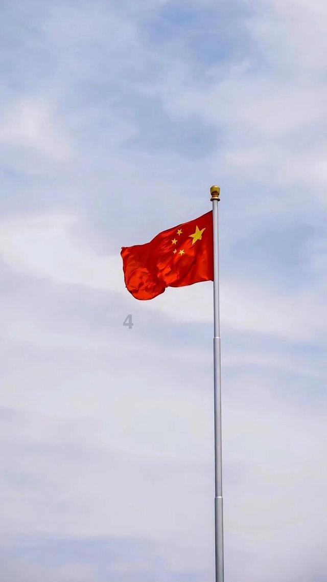 小猫钓鱼游戏龙王版有船