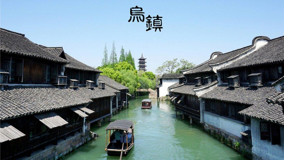 植物大战僵尸8